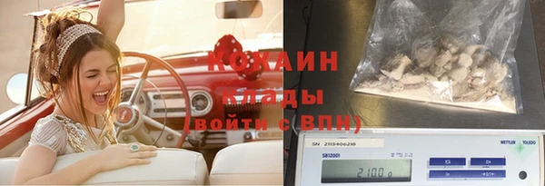 mdpv Горнозаводск