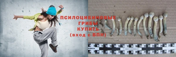мяу мяу мука Горно-Алтайск