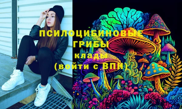 мяу мяу мука Горно-Алтайск