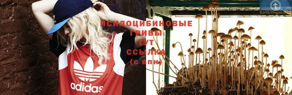 скорость Горняк