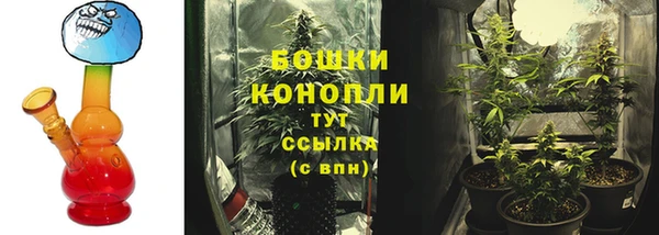мяу мяу мука Горно-Алтайск