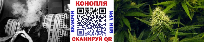 Бошки Шишки планчик  Монино 
